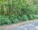 Superbe terrain constructible de 4033m2 - 1000009414-jpeg