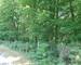 Superbe terrain constructible de 4033m2 - 1000009421-jpeg